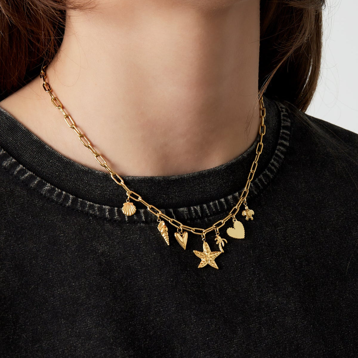 Collier Charms Image
