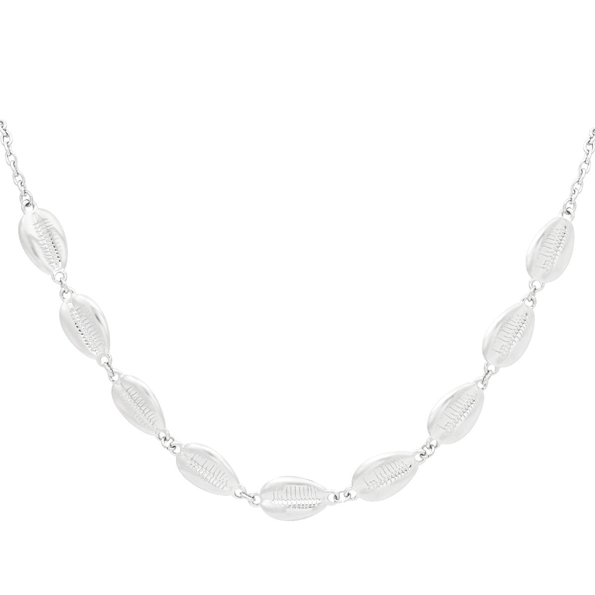 collier overdose coquillage