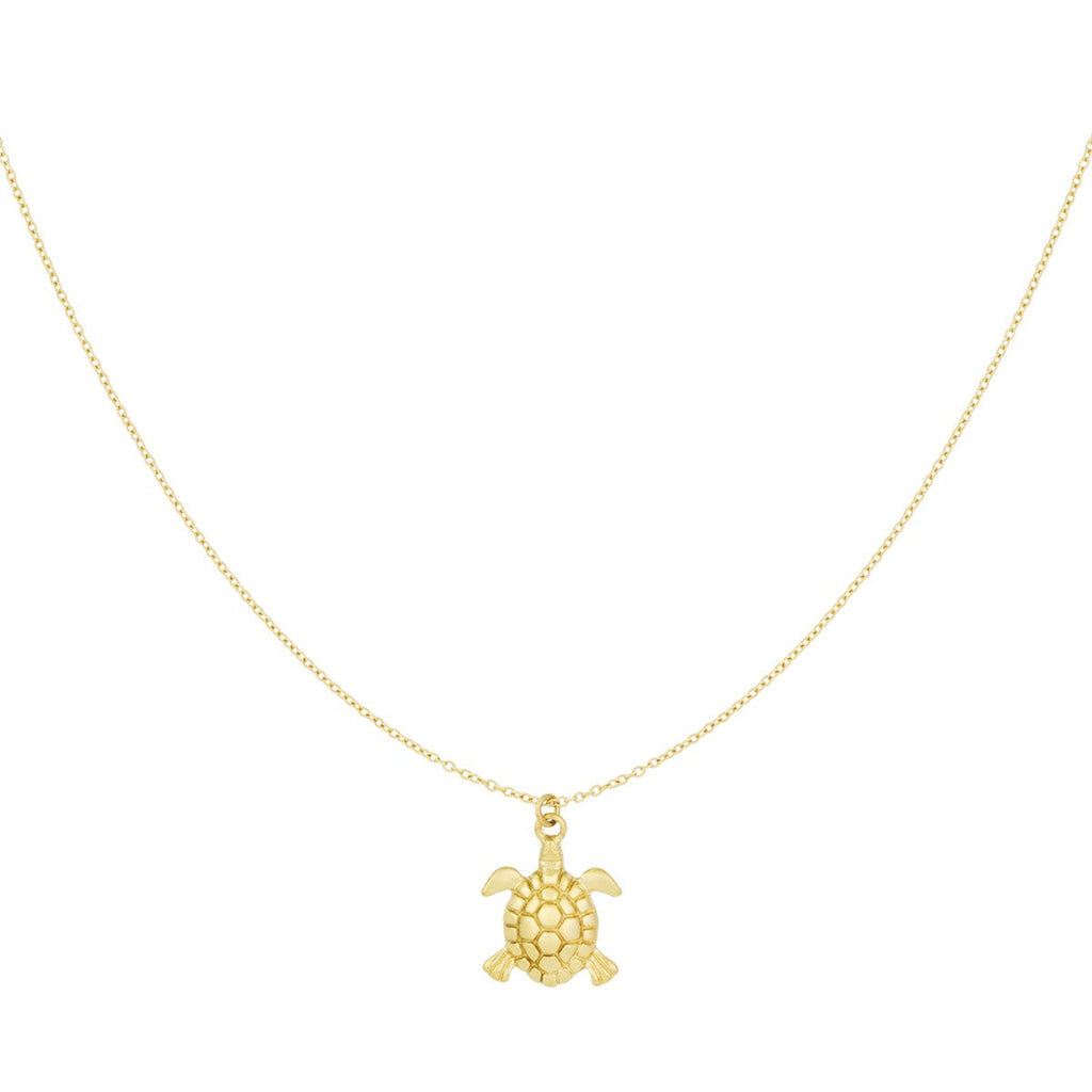 collier tortue marées