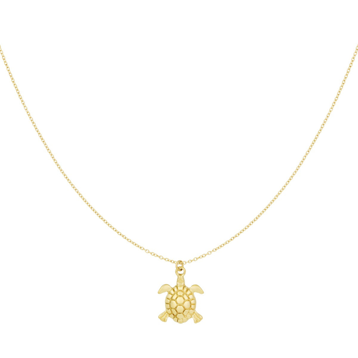collier tortue marées