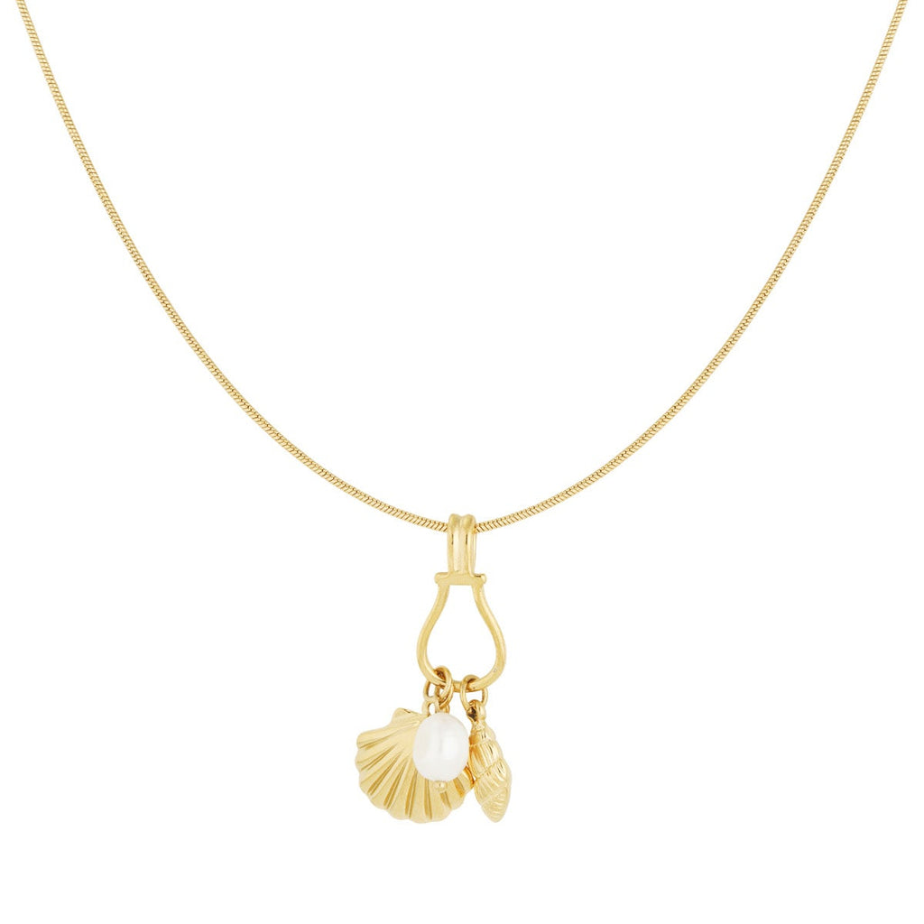collier secrets de coquillages