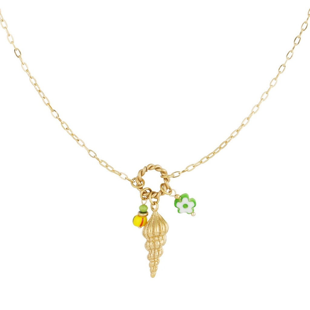 collier coquillage