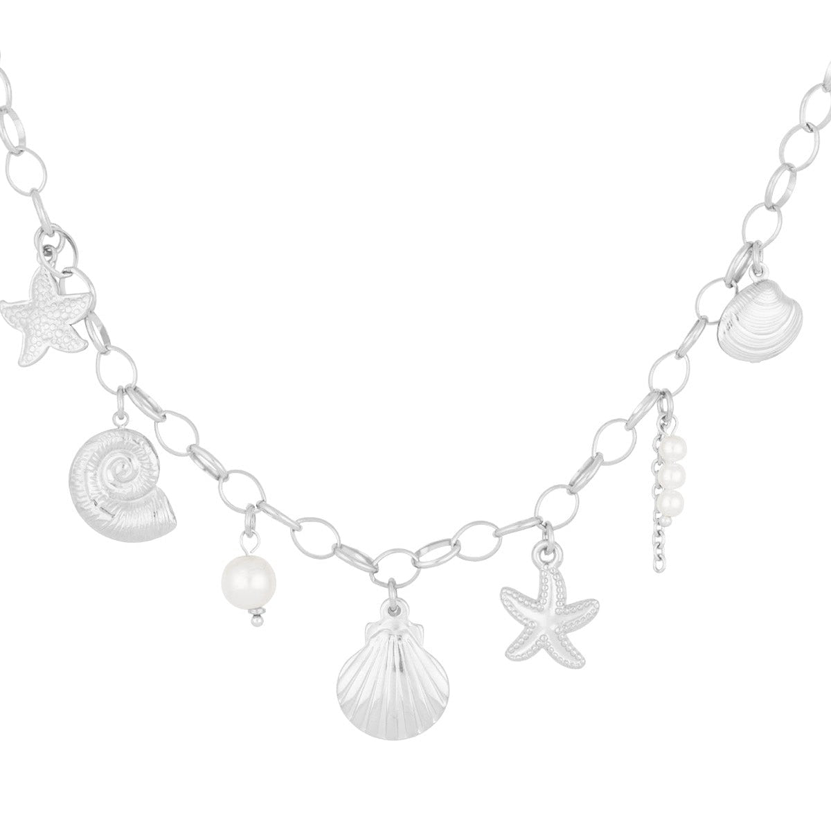 collier coquillage