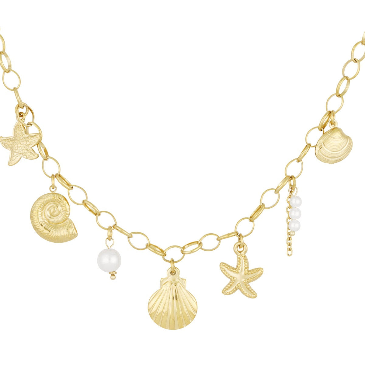 collier coquillage