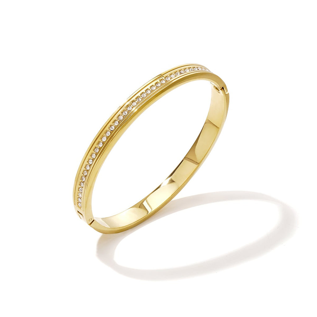 Bracelet jonc en acier inoxydable, style cercle, collection simple pour femmes, bijoux du quotidien