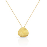 Collier coquille Saint-Jacques