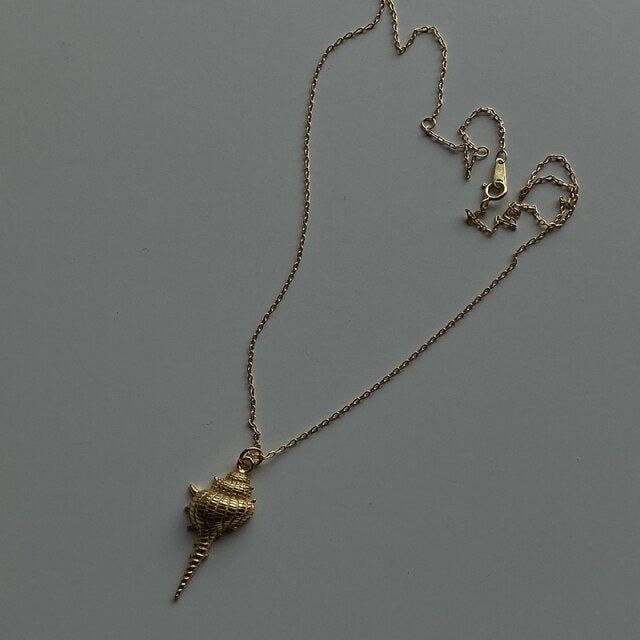 Collier coquillage homme