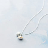 Collier coquillage argent